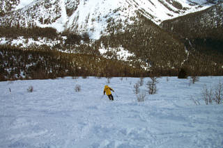 Heading into the Ptarmigan Trees