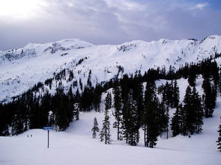 Backcountry beyond the ski trails of Mt. Baker Ski Area