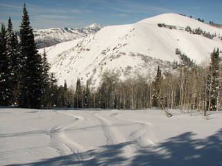 Powder Country