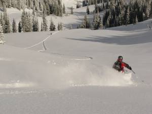 A bill naming skiing and snowboarding the official state sports passed both houses of the Utah legislature on Thursday. (skier: Jon Ross; photo: FTO/Marc Guido; Location: Alta, Utah)