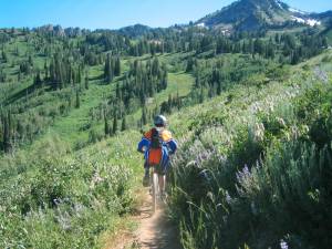 Mountain Biking at Snowbasin (FTO file photo: Marc Guido)