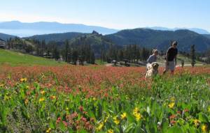 (photo: Squaw Valley USA)