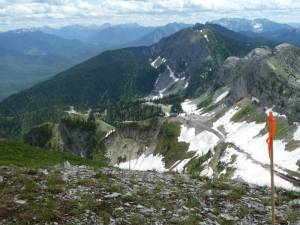 Stakes mark the location of potential chairlift towers to the summit of Polar Peak at Fernie Alpine Resort in British Columbia. (photo courtesy: Craig Morris)