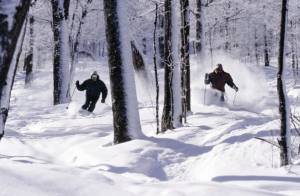 Quebec's Mont Sutton will expand its tree skiing this winter with four new gladed runs. (photo: Mont Sutton)