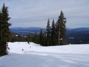 California's Northstar Resort will expand tree skiing into two popular sidecountry areas this season and provide snowcat access for the first time.