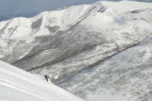 Niseko (photo: NPB)