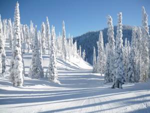 Fernie Alpine Resort (file photo: Sarah Windsor)