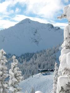 Silver King (file photo: Crystal Mountain)