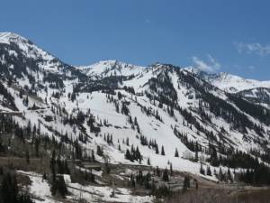 Snowbird's revised plans call for construction of a mountain coaster on the lower slopes of Peruvian Gulch, pictured here. (photo: FTO/Marc Guido)