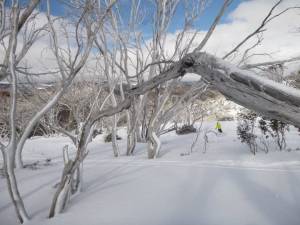 Thredbo today (photo: Thredbo Resort)