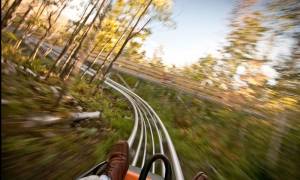 A "Forest Flyer" mountain coaster in operation at Breckenridge, Colo. (photo: Vail Resorts)