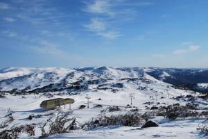 Perisher on Saturday (photo: Perisher)