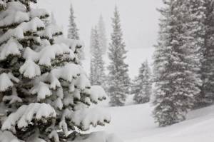 Glades at Snowmass (photo: Jeremy Swanson)