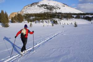 Backcountry skiing in Yellowstone National Park near Mammoth Springs (photo: FTO/Alan Wechsler)