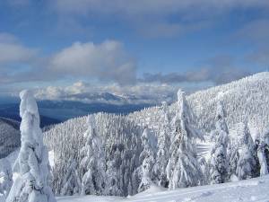 Hollyburn Ridge (photo: Iwona Erskine-Kellie)