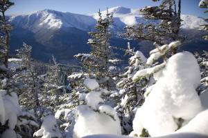 Wildcat is among the 33 New Hampshire ski resort's participating in the state's 4th and 5th Grade Passport program. (file photo: Wildcat Mountain)