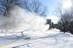 (photo: Malcolm Pinckney, NYC Parks)