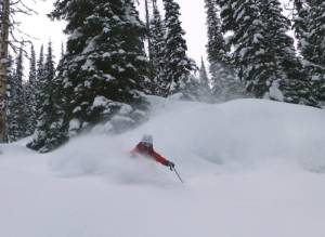 (photo: Great Northern Snowcat Skiing)