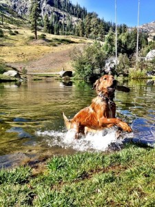 (photo: Squaw Valley)