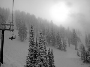 Alta's prized trees were covered in fresh snow this morning. (photo: Alta Ski Area)