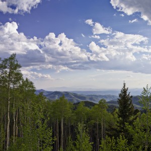 Santa Fe National Forest (file photo: Thomas Shahan)