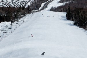 Killington's Superstar trail could host World Cup ski racing next Thanksgiving. (file photo: Killington Resort)