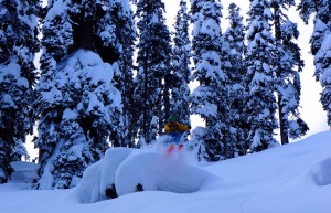 Author Matt Clark on one of many pillows in Hell Bent Woods. (photo: FTO/Tomasz Fichtel)