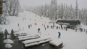 The Silver Fir area on Monday morning. (image: Summit at Snoqualmie)