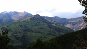 A summertime view of Mary Ellen Gulch (left) and Snowbird's Mineral Basin. right. The top terminal of Snowbird's tram is visible on the ridgeline right. (file photo: FTO/Marc Guido)