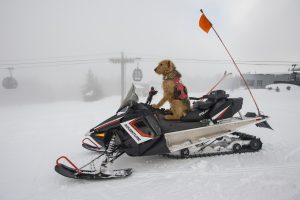 (location: Aspen Mountain, Colo.; photo: Scott Markewitz)