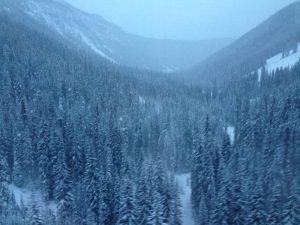 Canyon Creek, as seen from the helicopter during Saturday's search and rescue operation near Kicking Horse Mountain Resort in British Columbia. (photo: GADSAR)