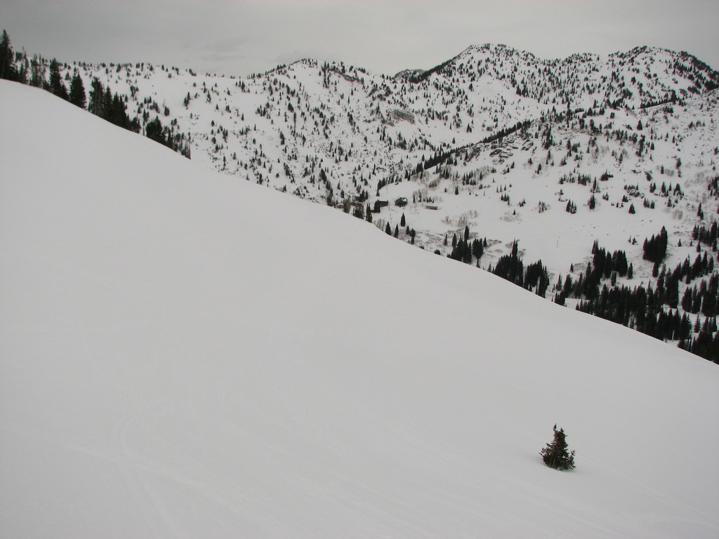 00b_alta_greeleybowl_101204.jpg