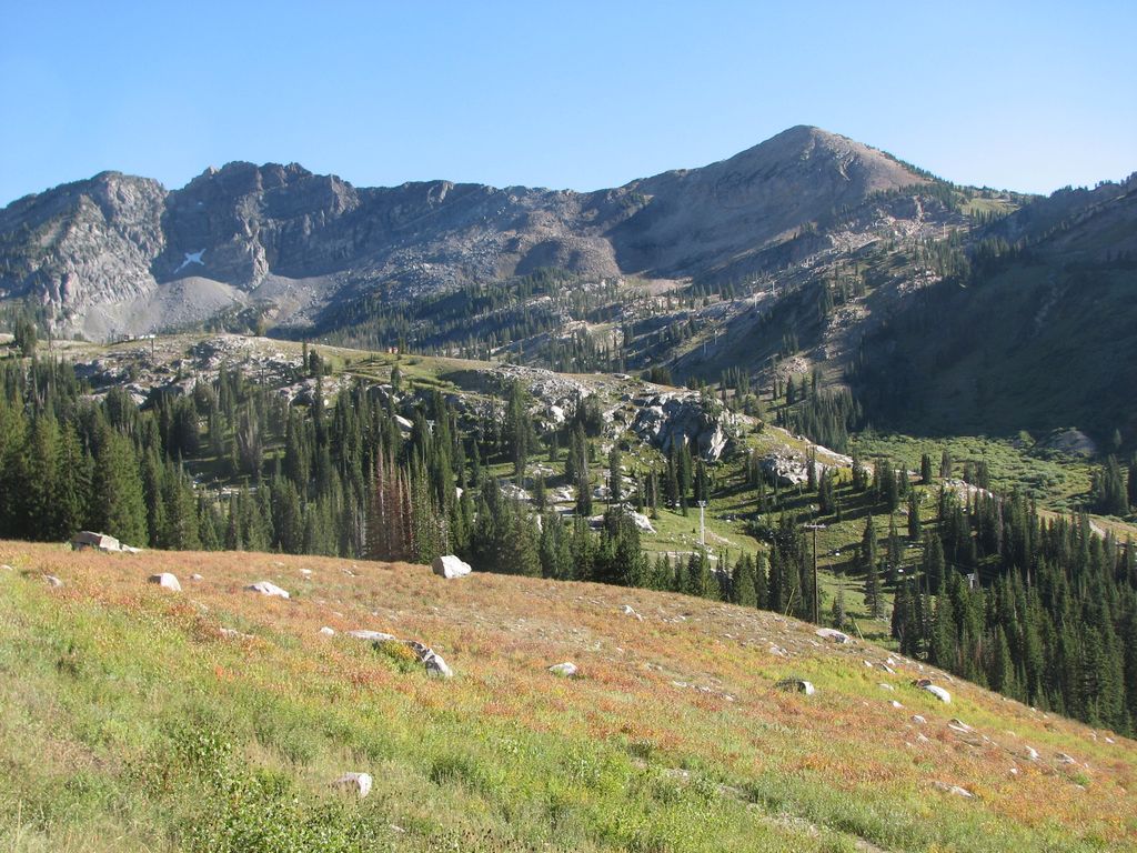 01 alta albion basin 100911.jpg