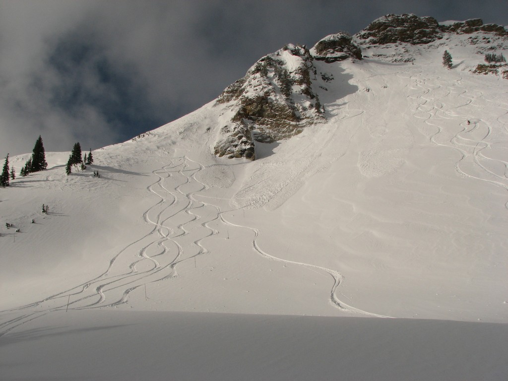 01 alta backside 100214.jpg