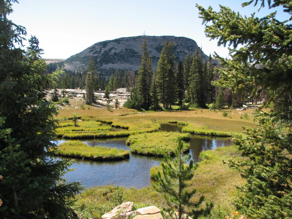 01 uintas meadow just e of ruth lake 100904.jpg