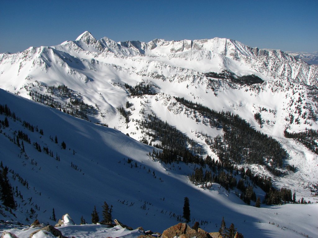 01 utah_whitepine_090308.jpg