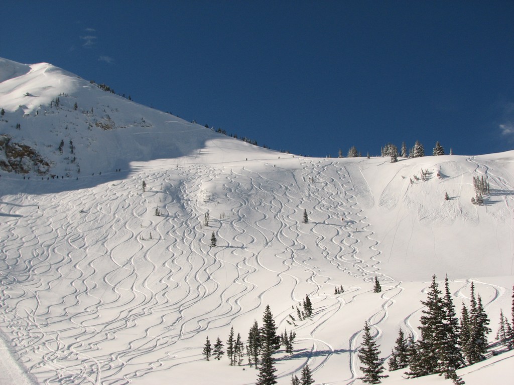 01_alta_baldyshoulder_110227.jpg