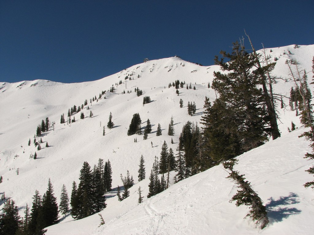 01_snowbird_mineral_110129.jpg