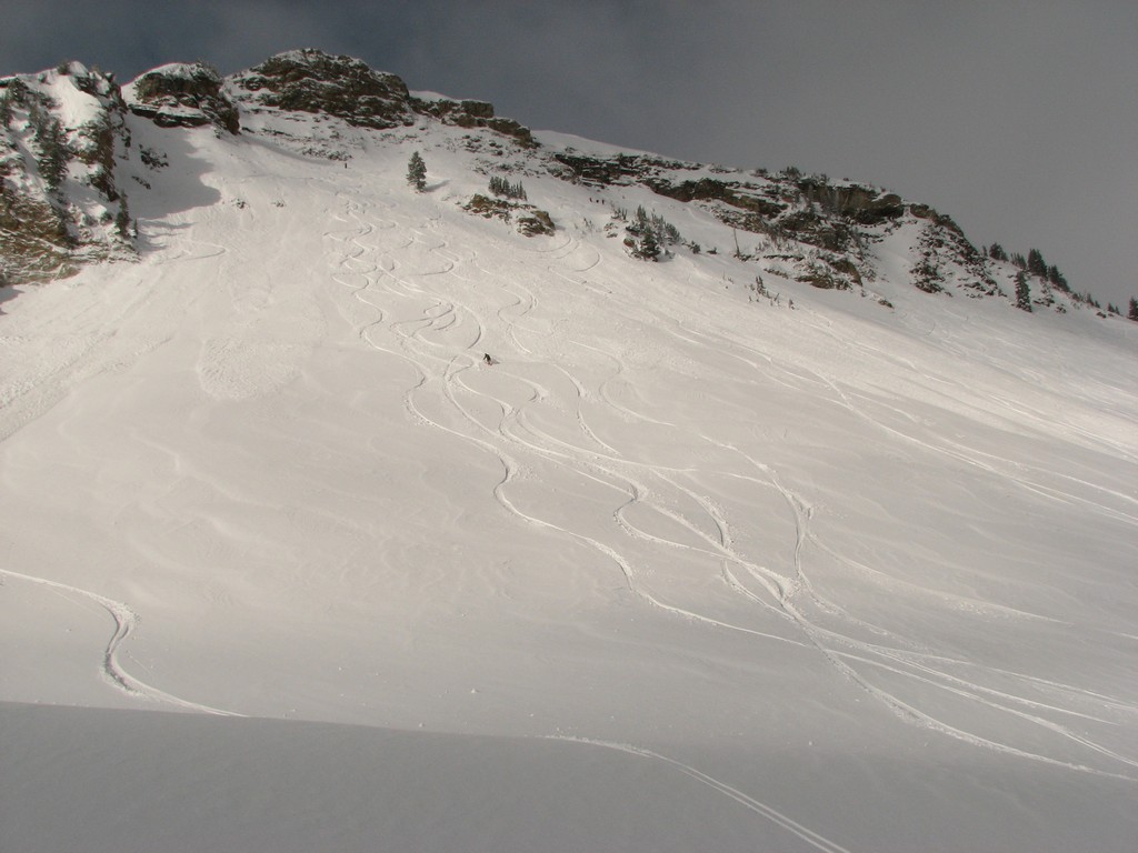 02 alta backside 100214.jpg