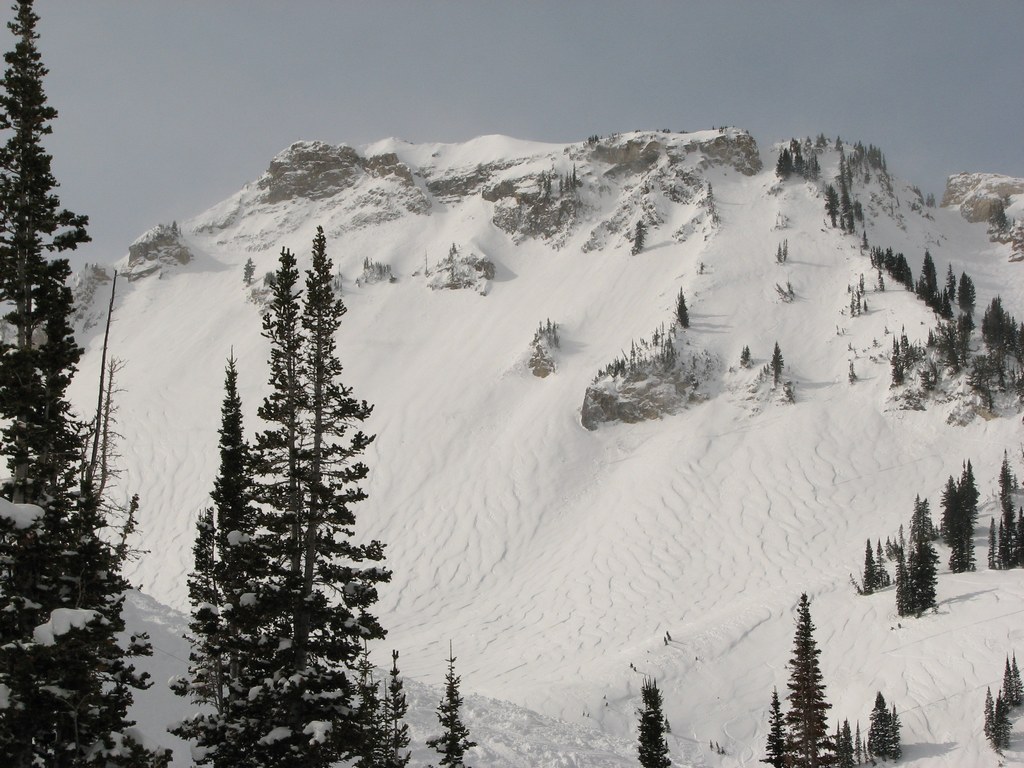 02 alta backside 20100306.jpg