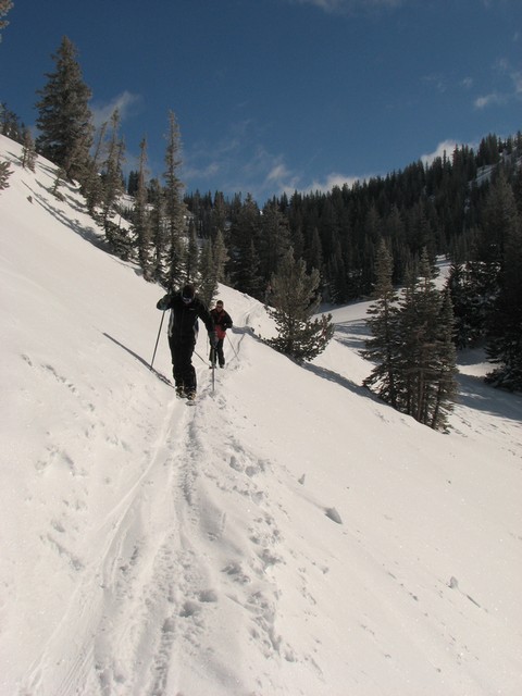 02 alta bobd tonyc patsy traverse 080217.jpg