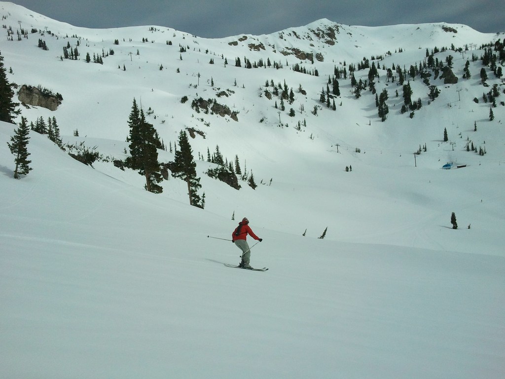 02 snowbird bookends pdq 110527.jpg