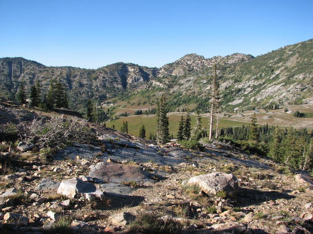 03 alta albion basin 100911.jpg