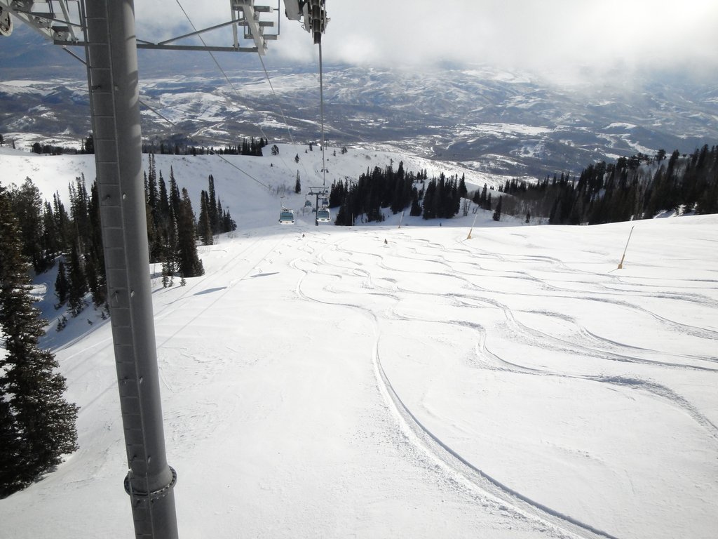 03 snowbasin strawberry 100327.jpg