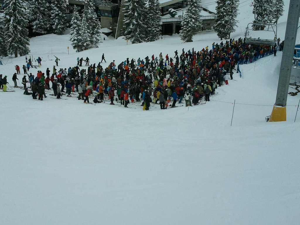 03 snowbird peruvian line 110530.jpg