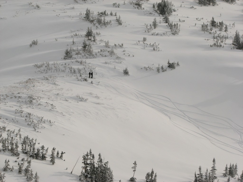 03 snowbird skidog bobbydanger sugarloafpeak 100207.jpg