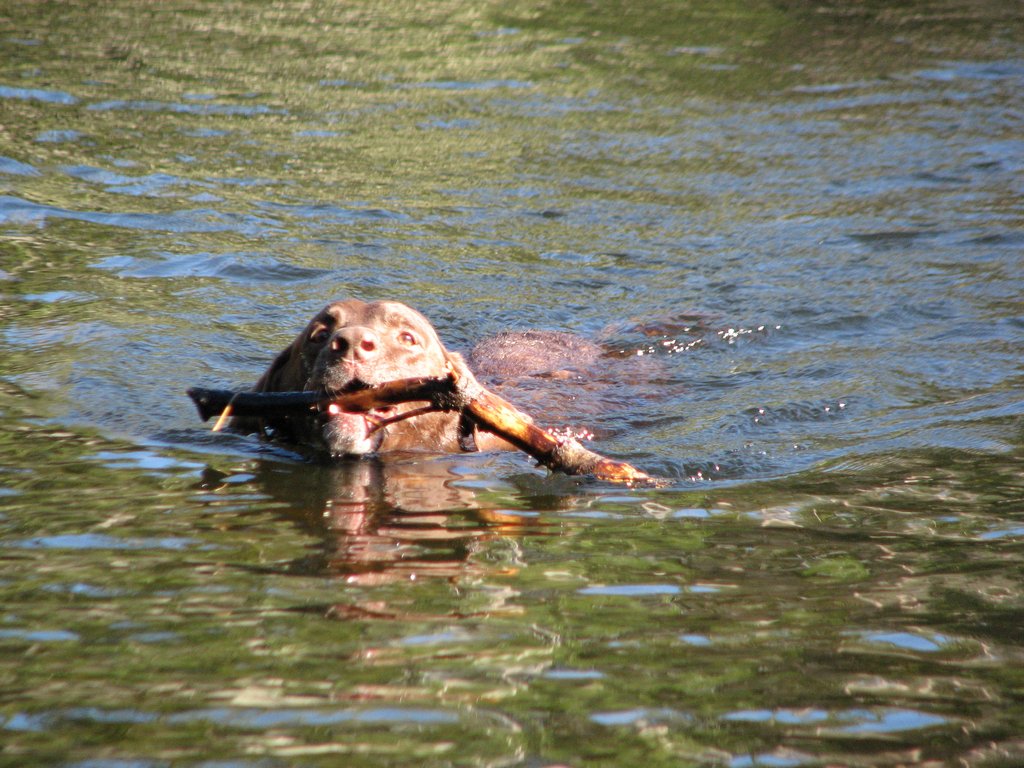 03 uintas zach swimming jewel lake 100904.jpg