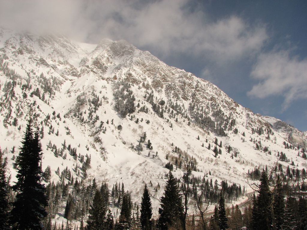 03_snowbird_mtsuperior_110209.jpg