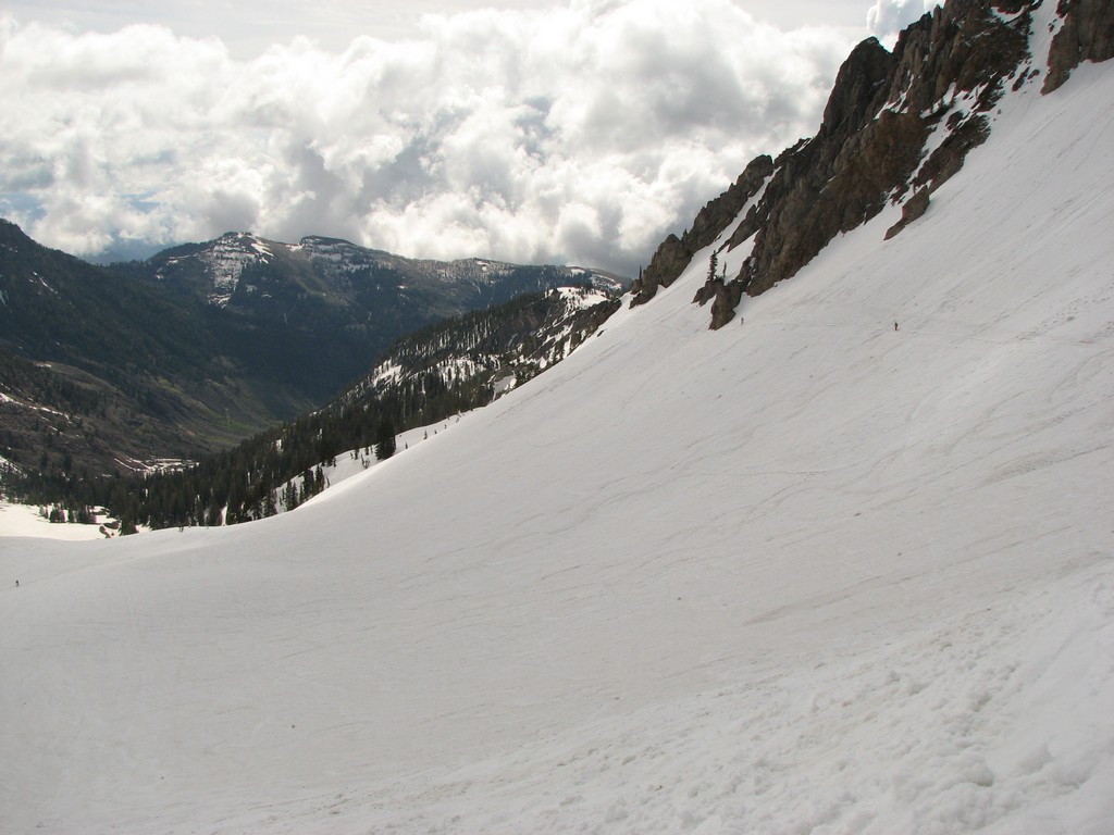 03_snowbird_powderparadise_090525.jpg