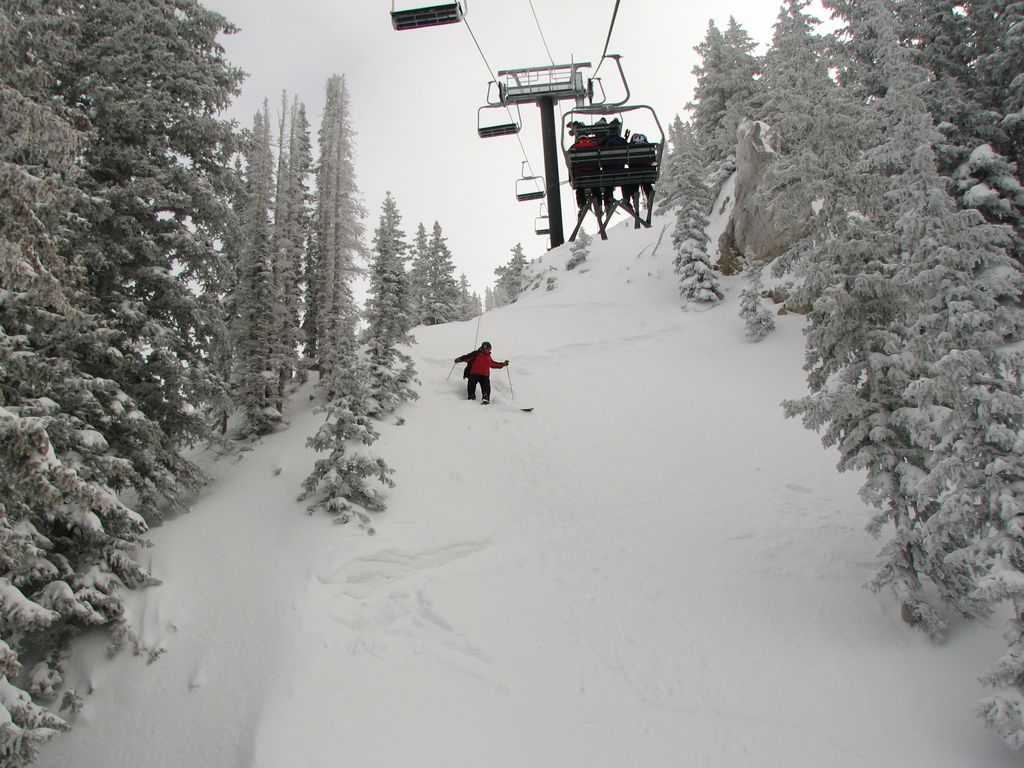 04_alta_patrol_skicut_supreme_081228.jpg